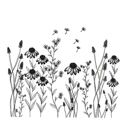 Wildflower - Black