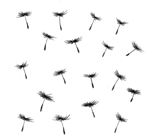 Floating Dandelion