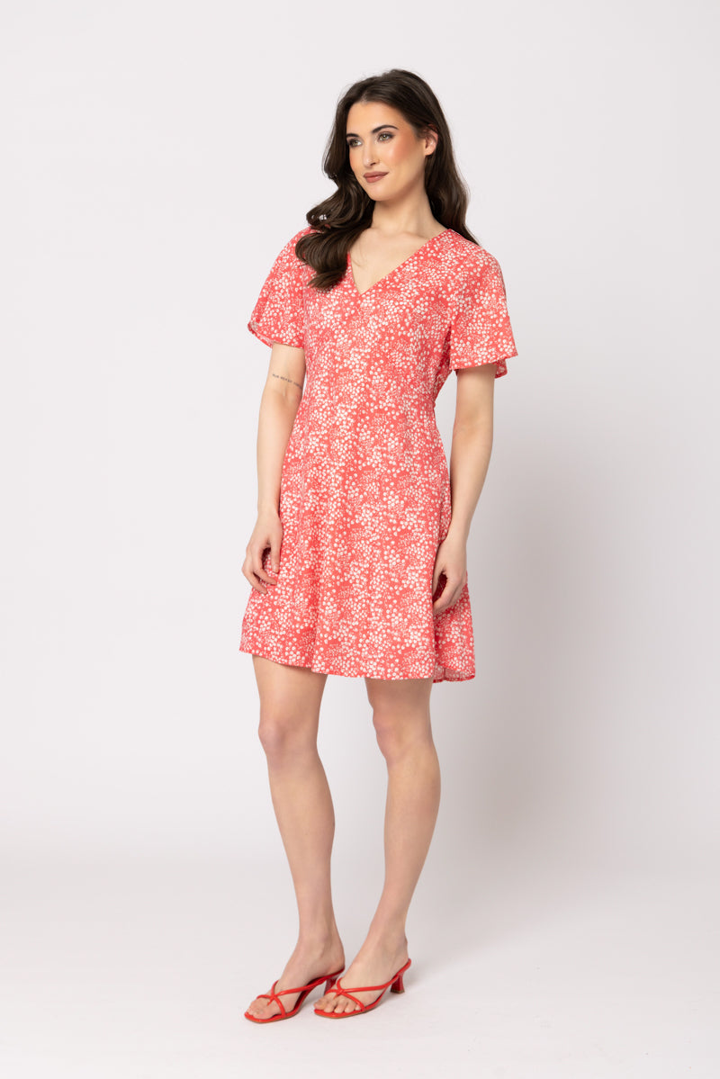 Celebrate Dress | Poppy Field