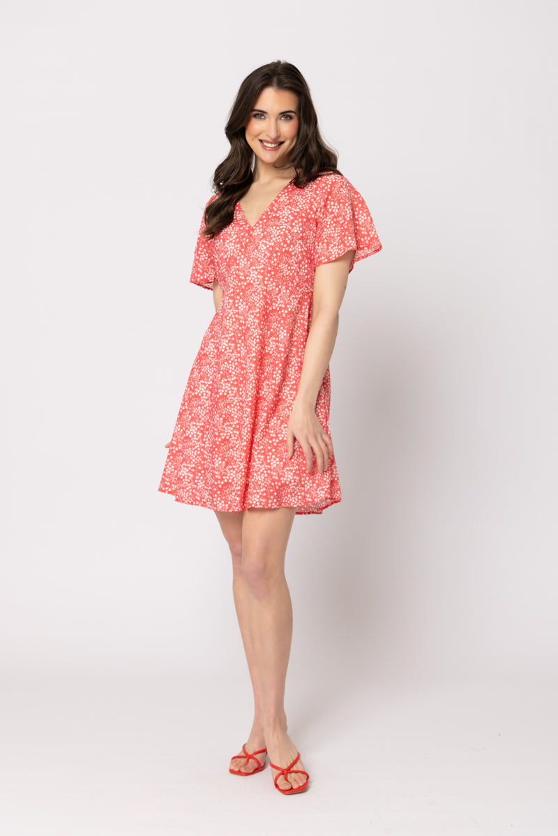 Celebrate Dress | Poppy Field
